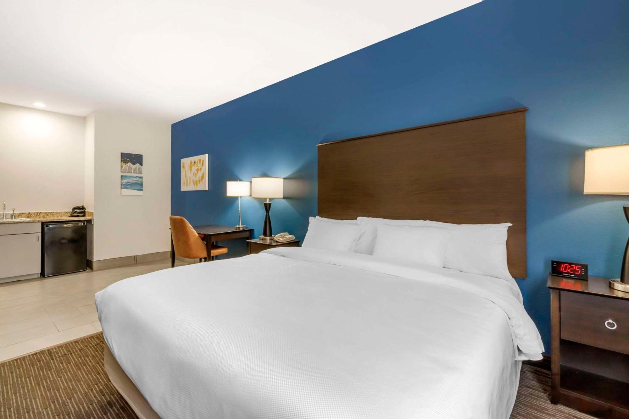 Comfort Inn & Suites New Lisbon Esterno foto